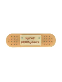 HappyRestaurant | Bandage-Shaped Acetate Hair Clips