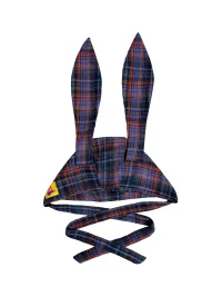 Bunnybunnygun | Plaid Bunny Ear Tie Hat