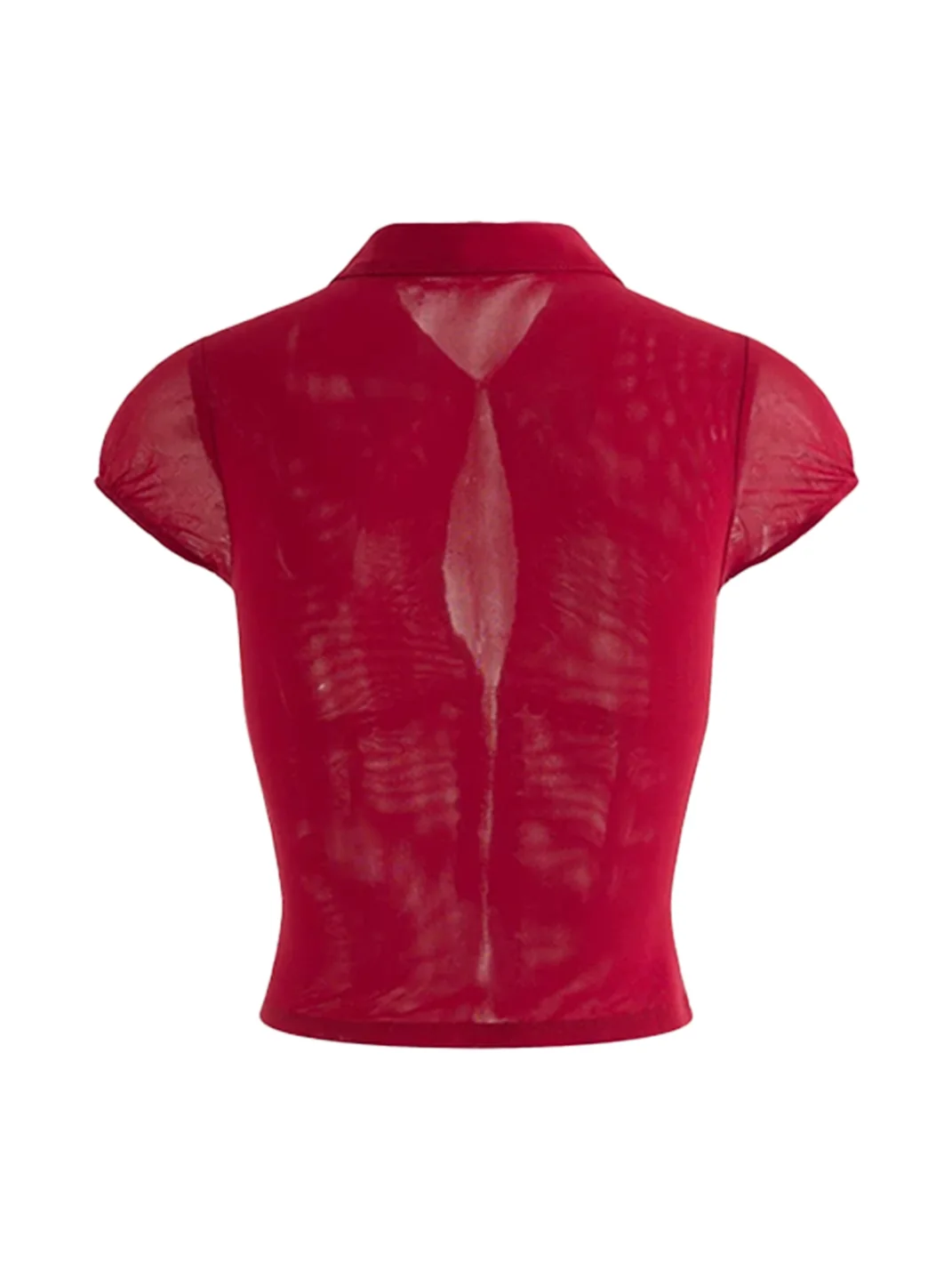 Latelylab | Studded Mesh Cropped Fitted Shirt