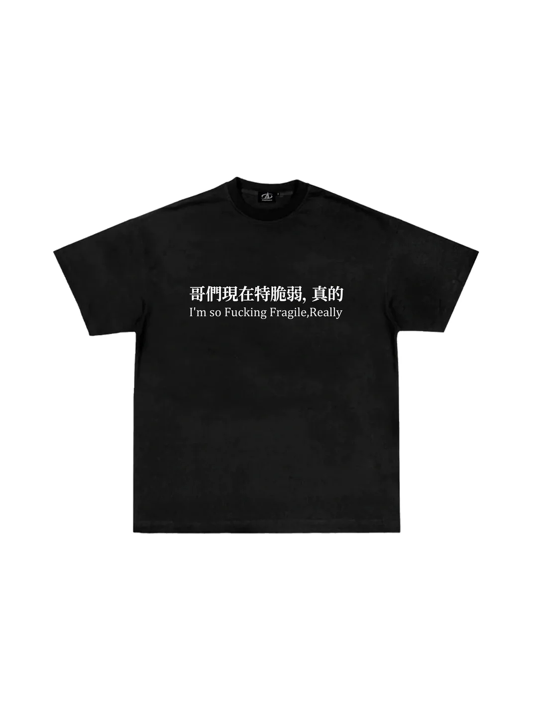 ATOP | Unisex Heavyweight Graphic Cotton T-Shirt