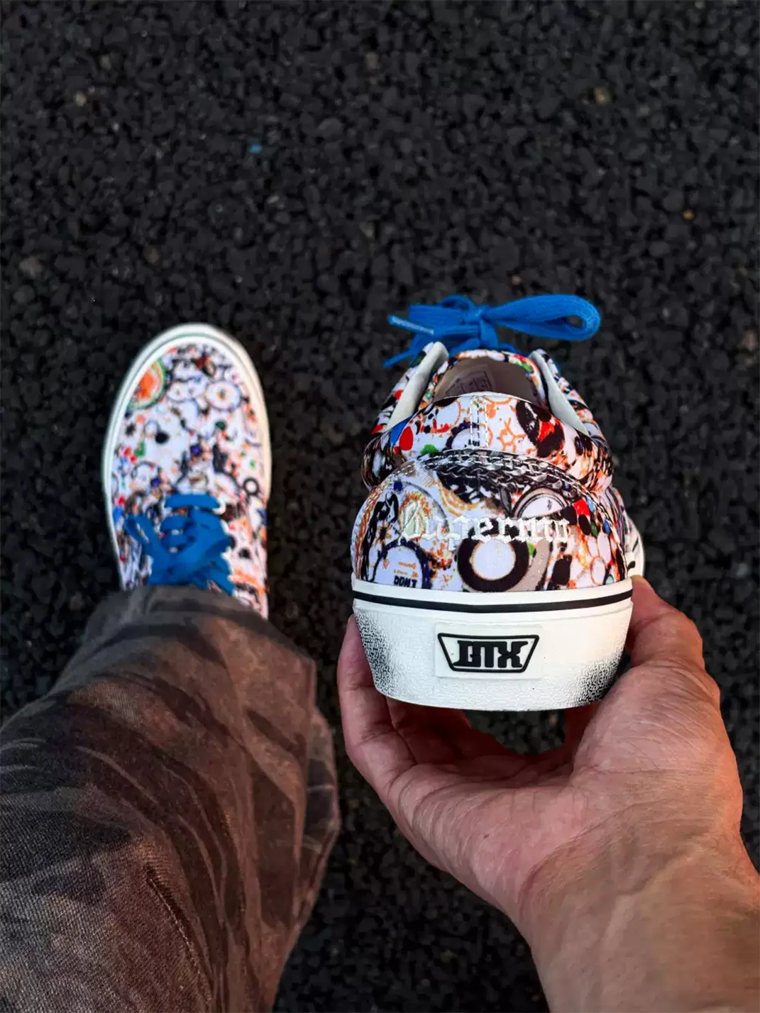 ZDZZFT | Allover Print Low Top Canvas Sneakers