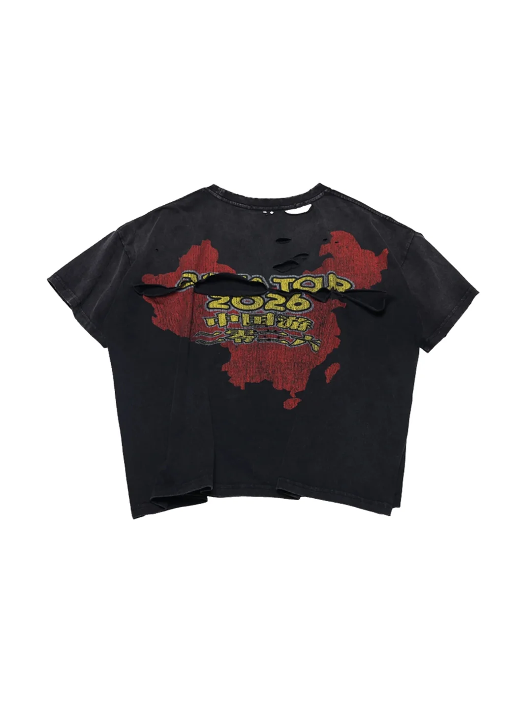PCCVISION | Distressed Washed Graphic Short Sleeve T-Shirt