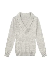 BIGGOLD | Slim Fit V-Neck Long Sleeve Knit Top