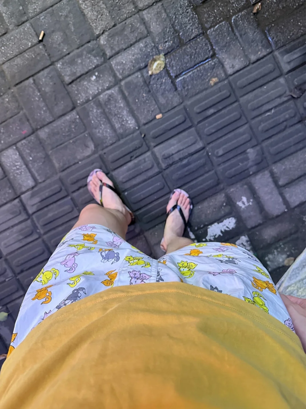 SONGAADON | All-Over Cat Print Loose Cotton Boxer Shorts