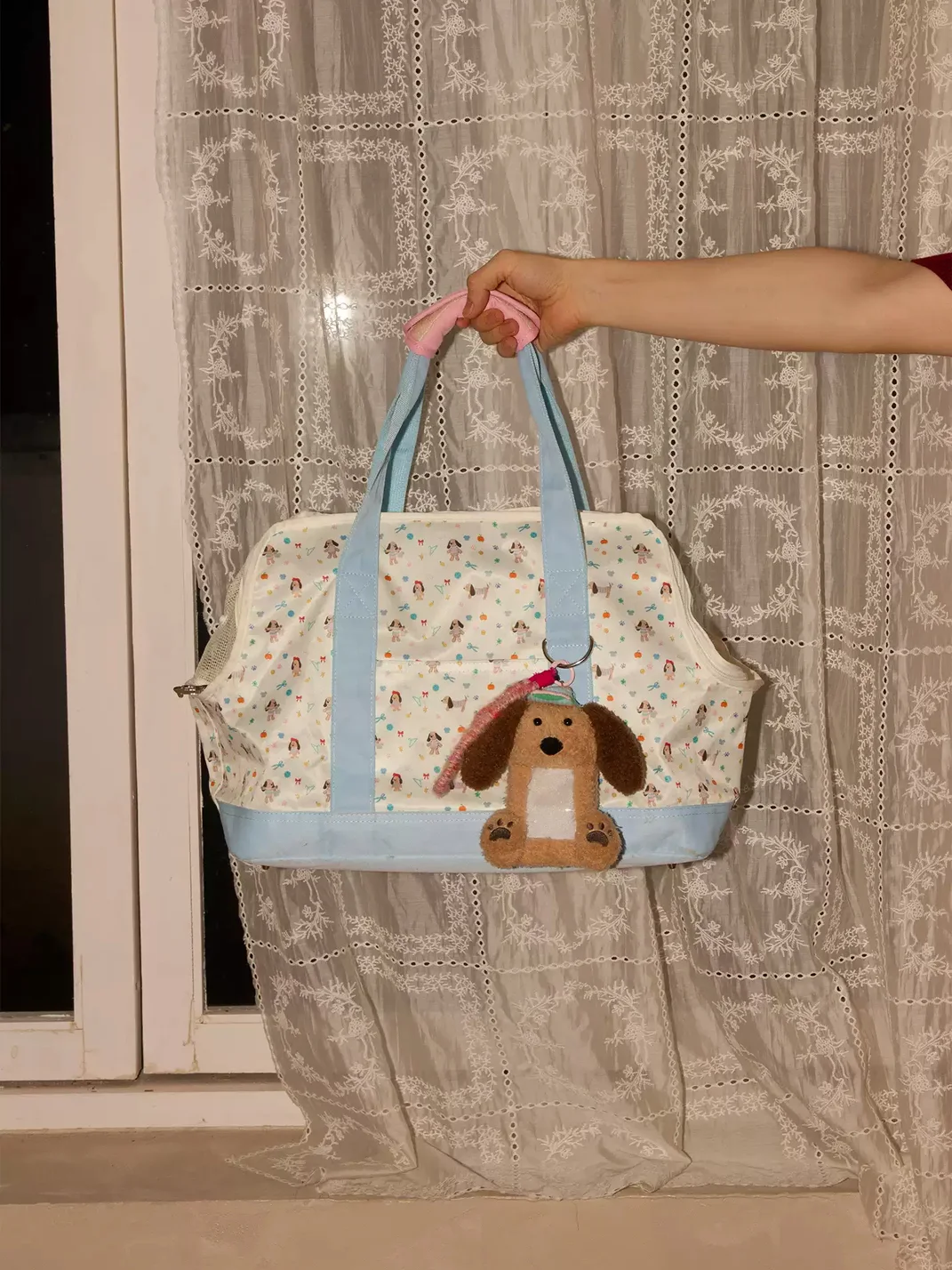 OhTODOG | Cartoon Dog Print Mesh Pet Carrier Bag