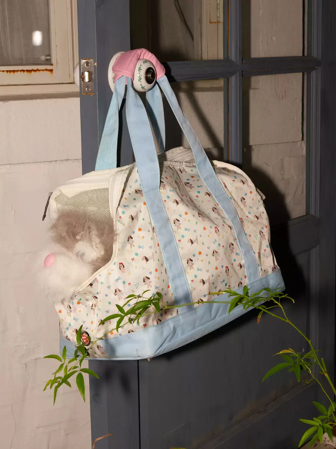 OhTODOG | Cartoon Dog Print Mesh Pet Carrier Bag