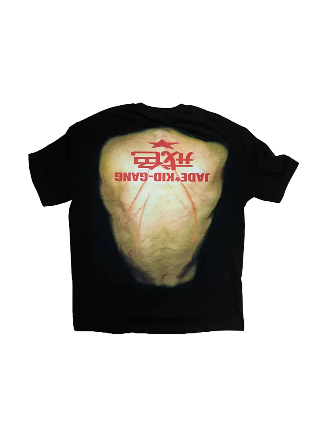 JADEGANG | Cropped Graphic Print Crew Neck Short Sleeve T-Shirt