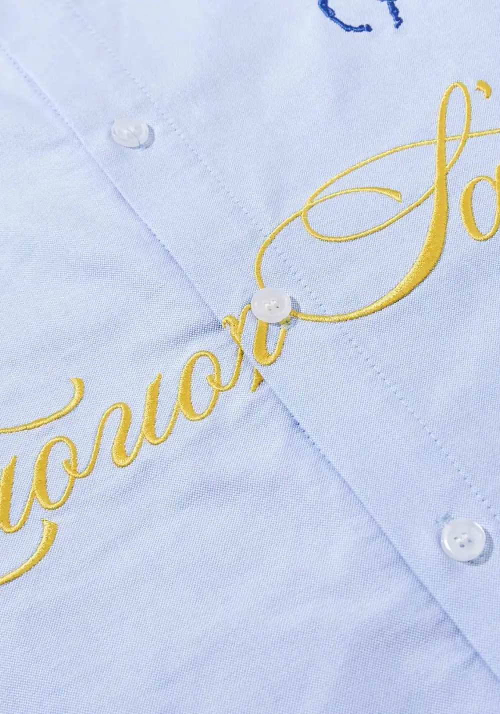 HARSH AND CRUEL丨Embroidered Oxford Shirt