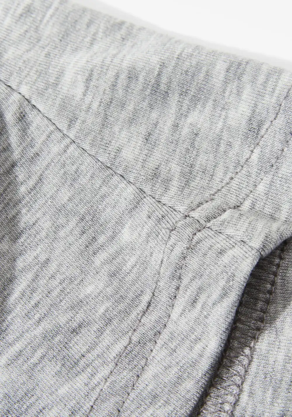 HARSH AND CRUEL丨Puppy Embroidery Fitted Tee