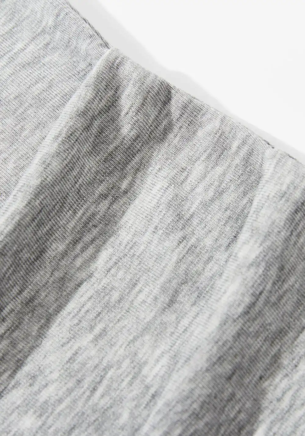HARSH AND CRUEL丨Puppy Embroidery Fitted Tee