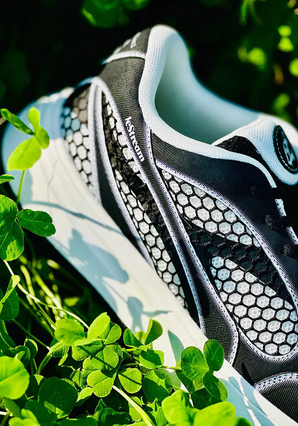 LeStream | Black & White Mesh Derby Shoes