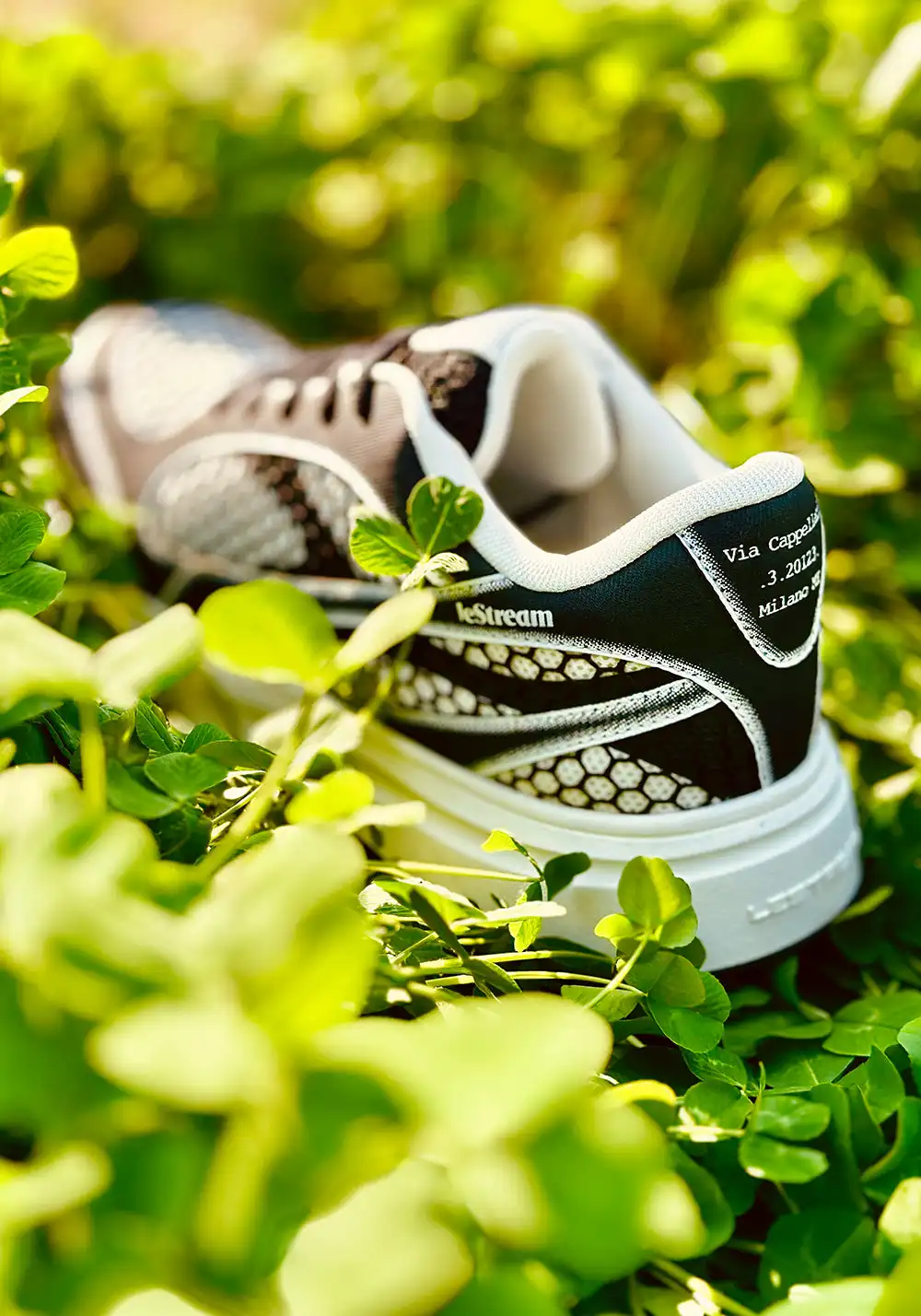 LeStream | Black & White Mesh Derby Shoes