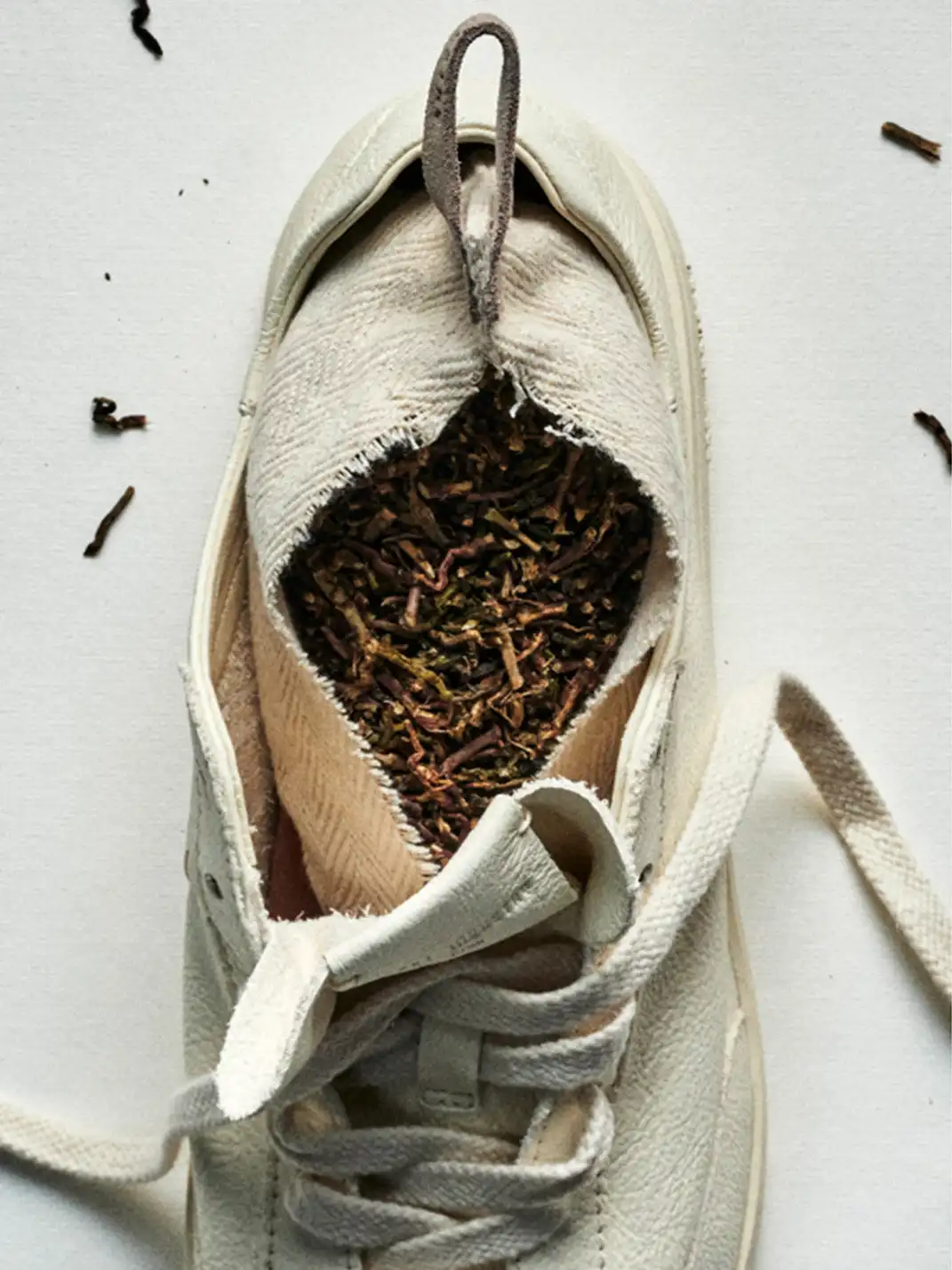 FOOT INDUSTRY | Water Resistant Trainers