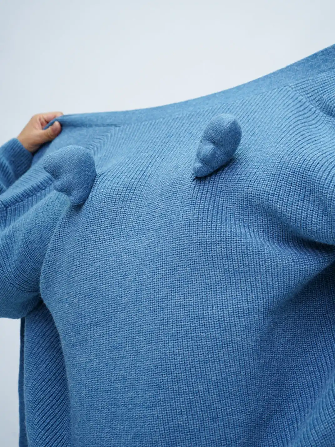 CLP | Wing Design Knit Sweater