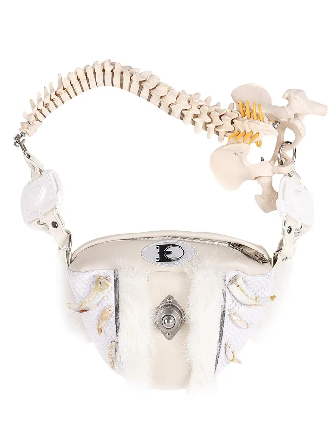 Embryo | Resin Simulated Bone Package