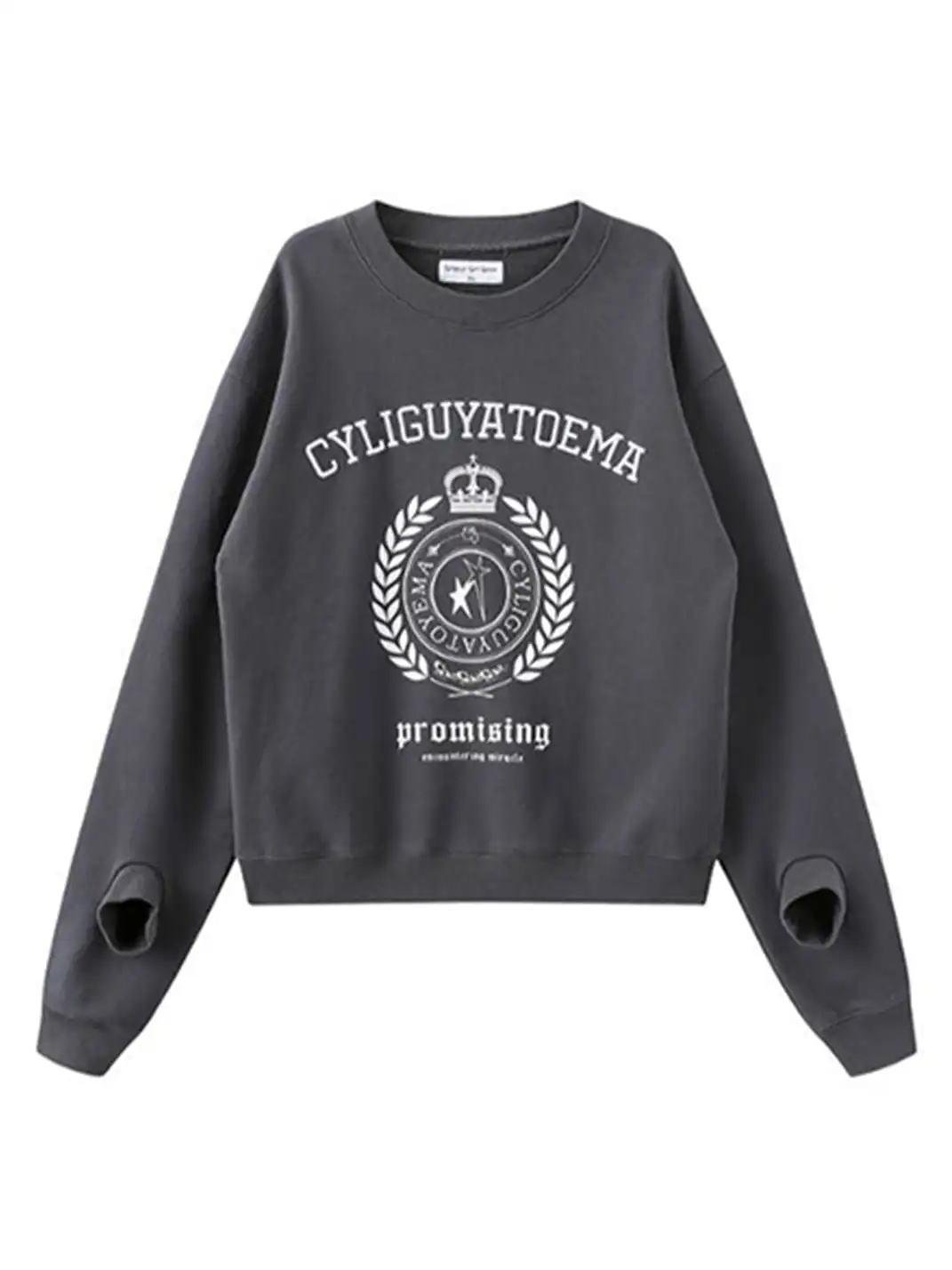 CYCYCY | Retro Embroidered Wheat Ear Print Crew Neck Sweatshirt