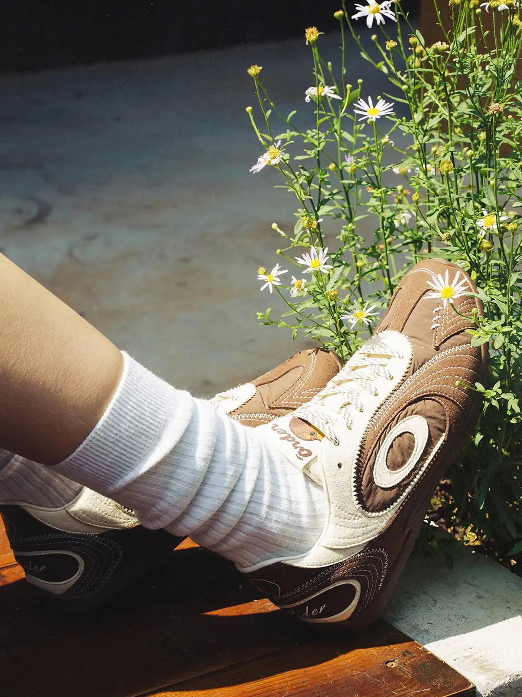 OLDORDER | Brown Dachshund Training Shoes