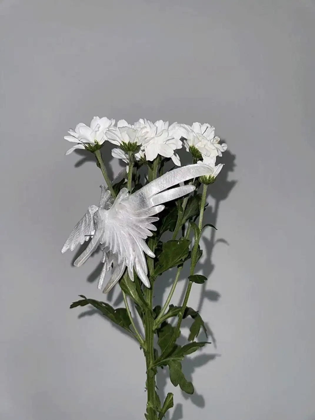 TORNADOSONG | Feather Hair Clip - Wings