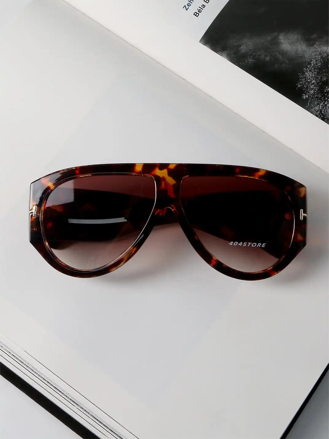 404 | Large-Frame Aviator Sunglasses