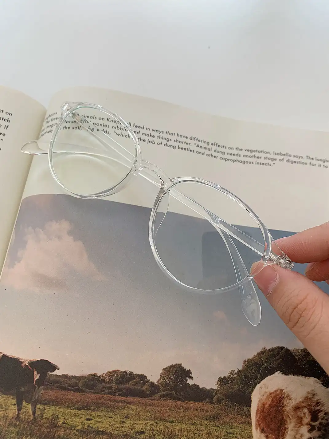404 | Ultralight TR90 Retro Oval Glasses