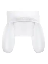 STE | Mesh Lantern Sleeve Off-Shoulder Top