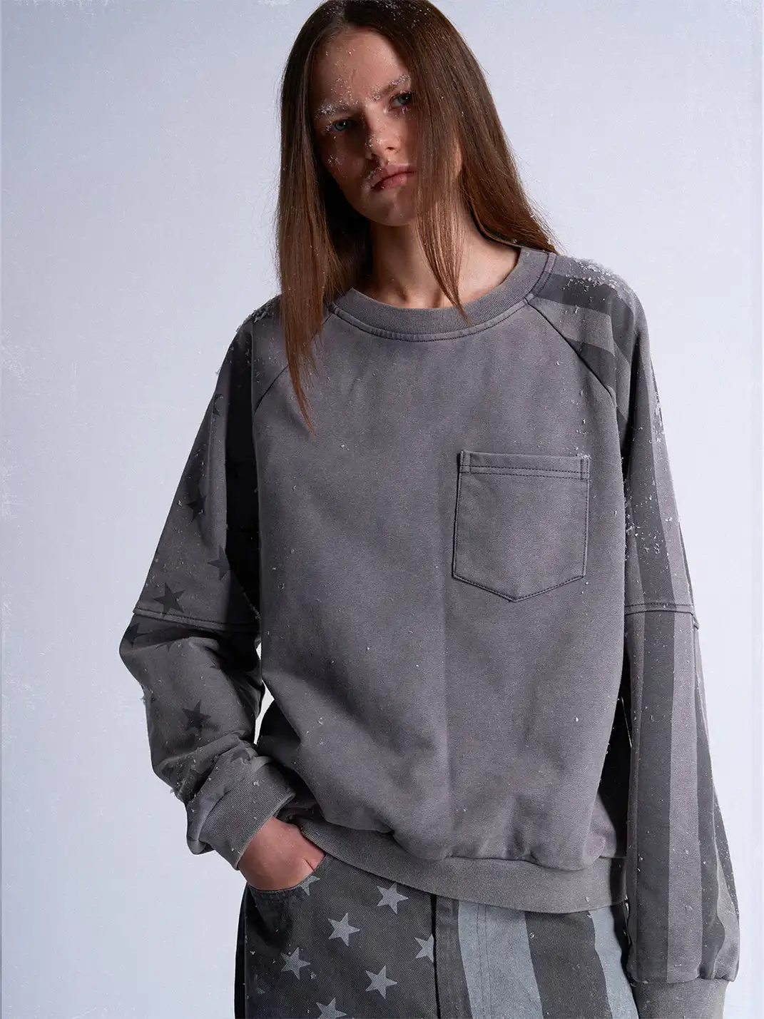 noEmosen | Stars And Eagle All-Over Print Sweatshirt
