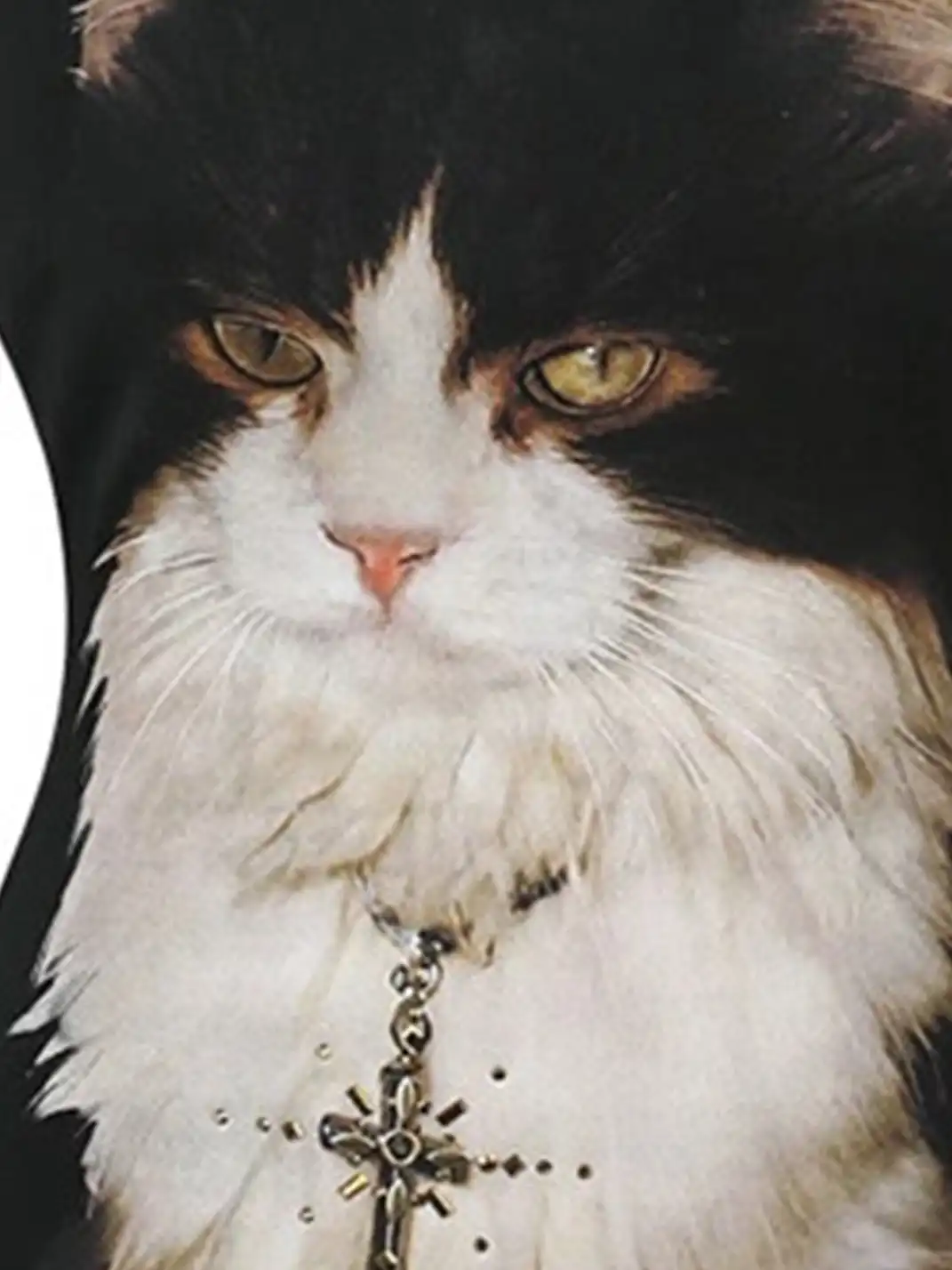 BAYUE | Cat Printed Camisole