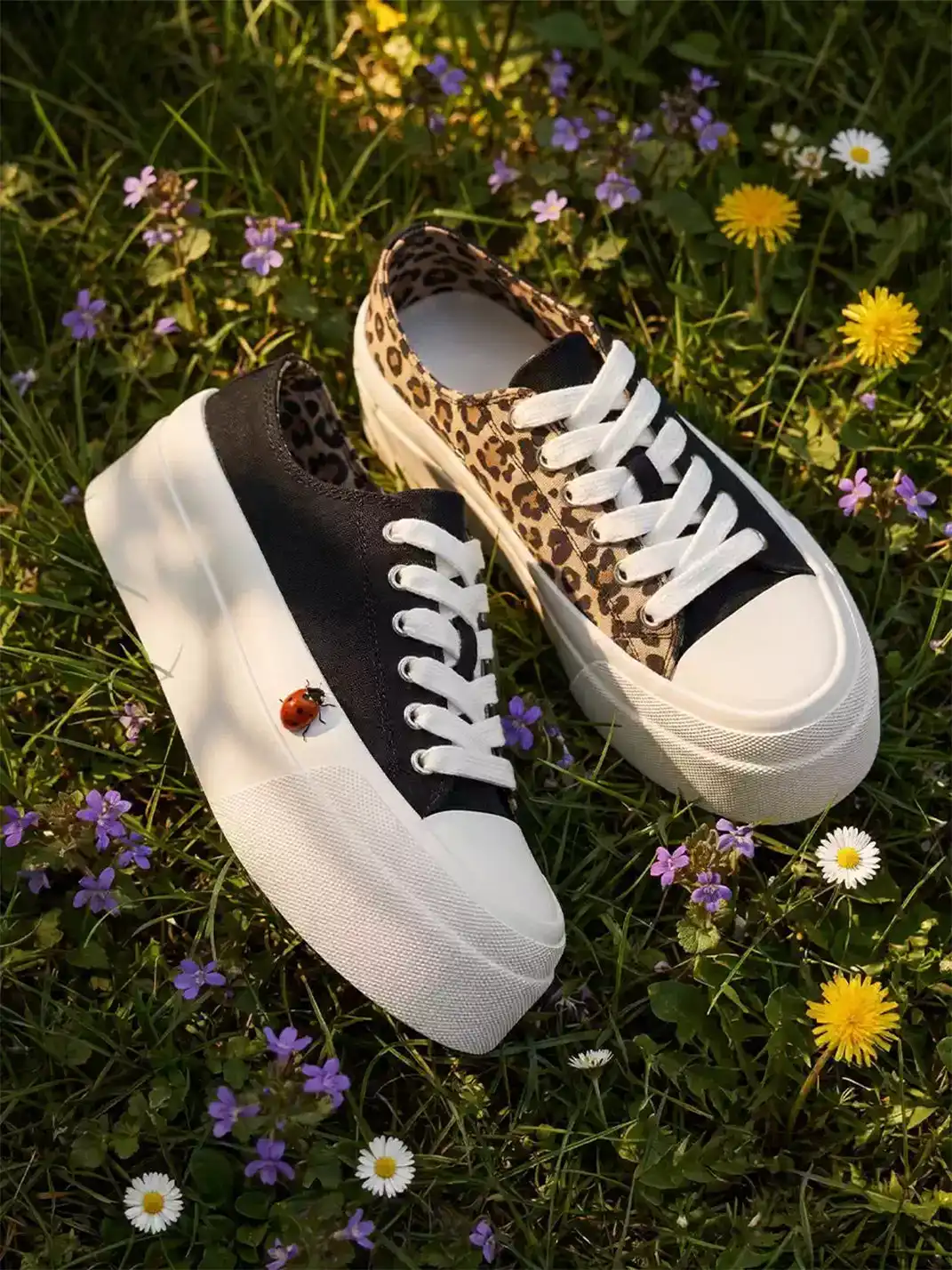 LeStream | Low-Top Color Block Leopard Print Canvas Shoes