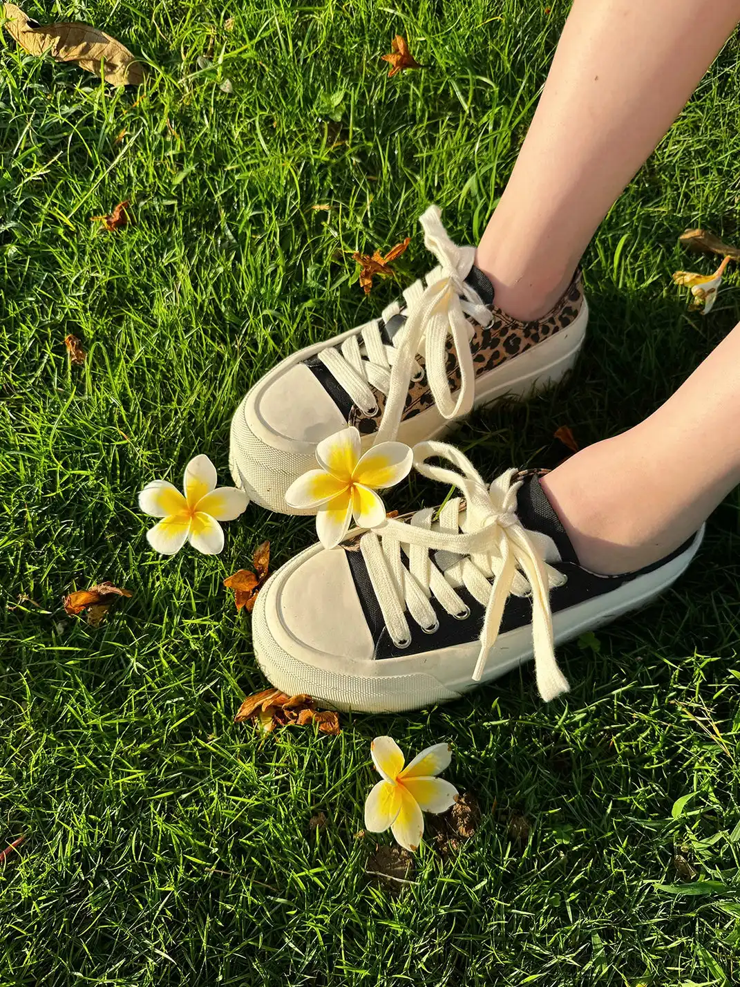 LeStream | Low-Top Color Block Leopard Print Canvas Shoes