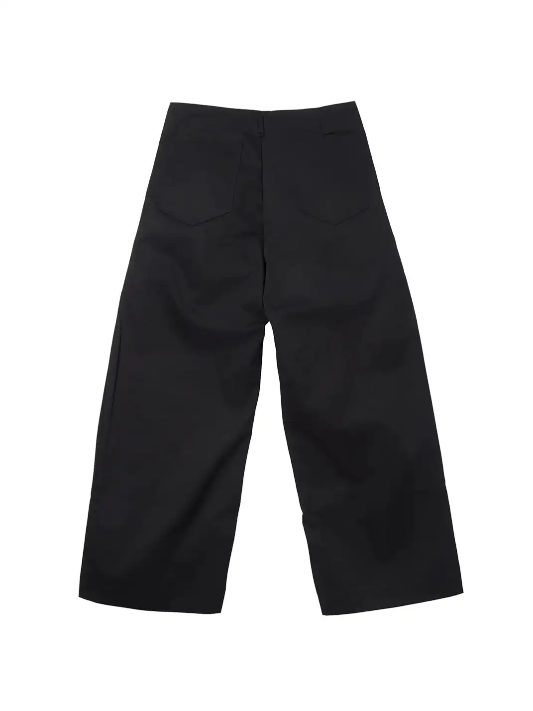 6CRAYON | 3D Side Pleated High Density Long Pants