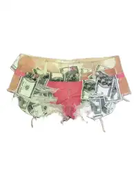 Fruitanari | Money Print Hot Shorts